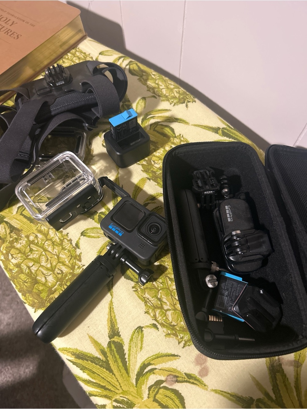 Go pro 10 hero black + accessories